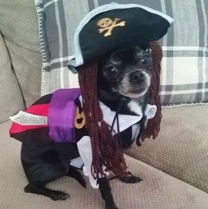 Meet your Posher, Sherry